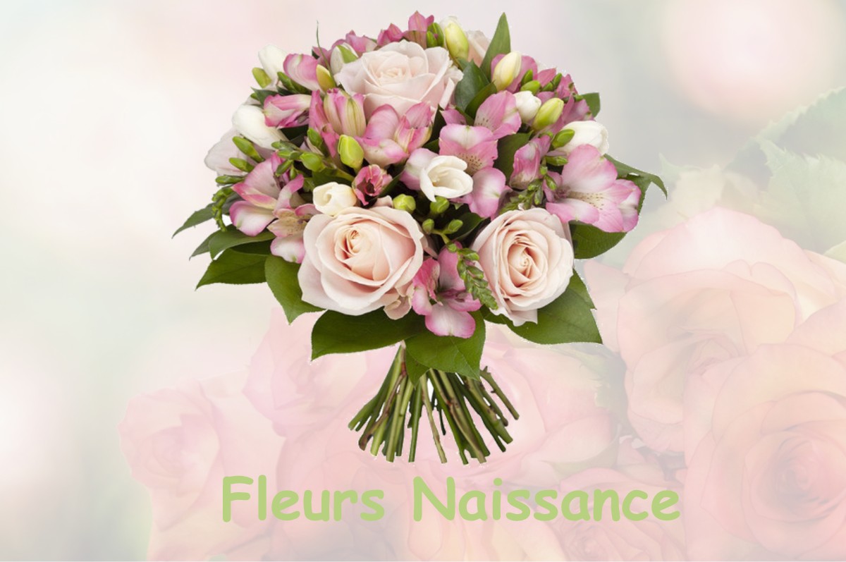 fleurs naissance CHATEAUVILAIN