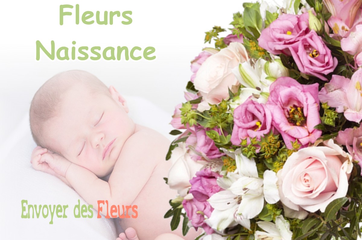 lIVRAISON FLEURS NAISSANCE à CHATEAUVILAIN